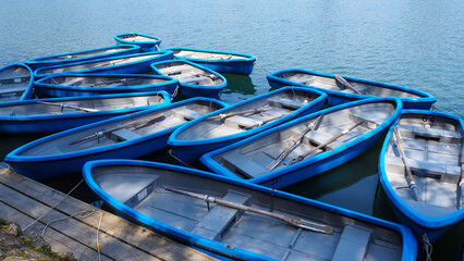 Group of blue row boats with oars floating on the lake near the pier. High quality photo