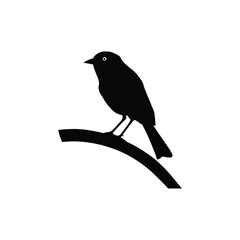 bird branch of silhouette image,pj