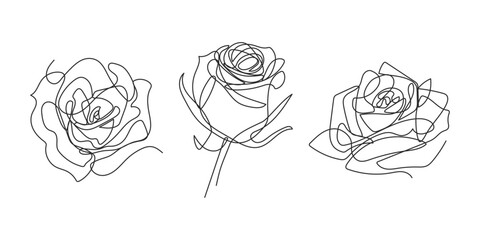Set of 3 roses in vector creative one line illustration