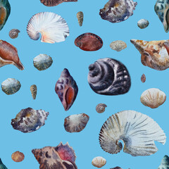 Harmonious shell pattern. Shell, repeated background texture. Free-nand. Vintage underwater fabric creation mode