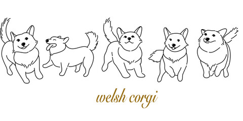 Obraz na płótnie Canvas Doodle Cartoon Pembroke Welsh Corgi illustration set in different poses. Cute sitting, running and lying vector dog isolated on white background