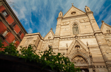 Obraz premium Naples Cathedral or Cathedral of the Assumption of Mary.