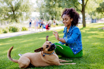 Multiracial girl sitting and resting with her dog outside in the park, training him, spending leisure time together. Concept of relationship between dog and teenager, everyday life with pet.