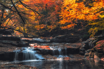 autumn colors beautiful cascade and waterfall