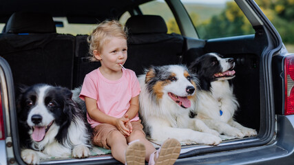 Fototapeta na wymiar Little girl and her dogs sitting in a car, prepared for family trip,