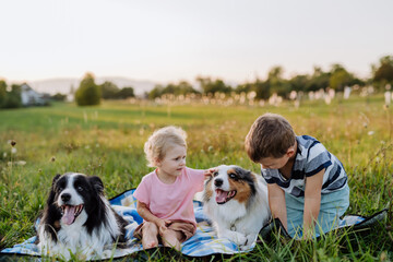 Little children with collies outdoor, having picnic.
