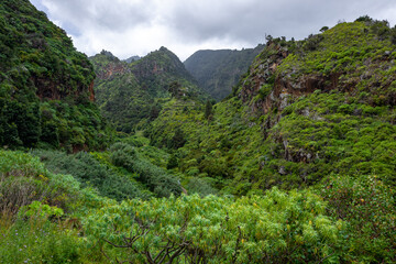 La Palma Island. Northern Tropical Exotic Landscape of La Palma. Canary Islands, Spain.