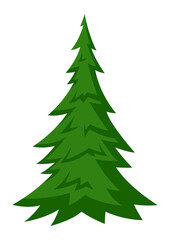 Illustration of fir tree. Forest or park landscape element. Seasonal image.