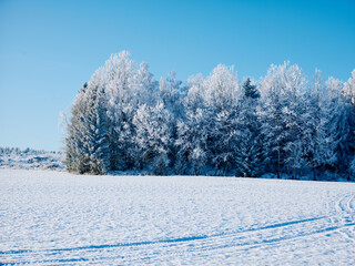 a snow covered field with trees in the background
