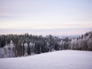 a snow covered field with trees in the background