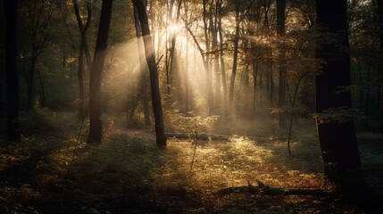 A bokeh background of a calm forest with rays of sunlight shining through the trees Generative AI