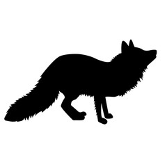 black wolf vector eps 10 
