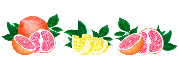 Hand drawn watercolor grapefruit and lemon with green leaves isolated on white background. Scrapbook, post card, banner, label.