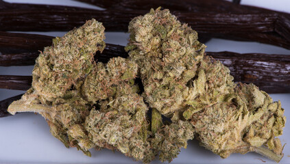 Obraz premium Cannabis Flower
