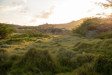 landscape in the morning