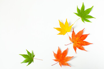 秋の落ち葉のフレーム