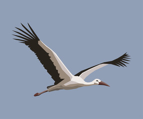 Fototapeta na wymiar Vector image of a stylized white stork in flight on a blue background.