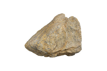 Fusulinid fossil stone isolated on white background. Fusulinids monodiexsulina sp.