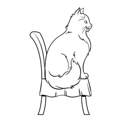 Female cat sits on chair coloring book PNG illustration with transparent background