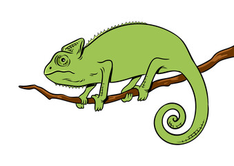 Chameleon animal color pop art PNG illustration with transparent background