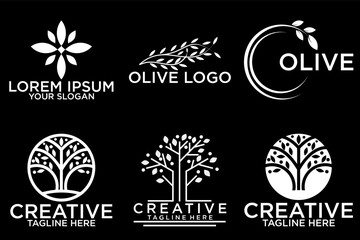 Olive tree logo. Extra virgin olive oil label icon. Tree of life symbol. Organic branch brand identity