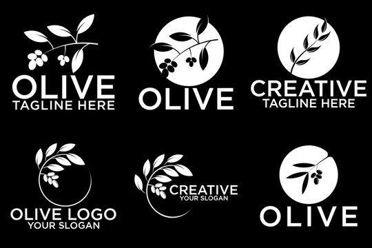 Olive tree logo. Extra virgin olive oil label icon. Tree of life symbol. Organic branch brand identity