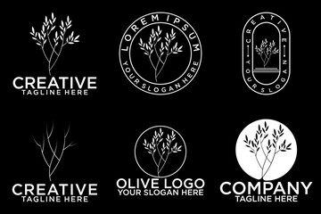 Olive tree logo. Extra virgin olive oil label icon. Tree of life symbol. Organic branch brand identity