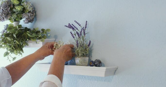 Interior designer decorating a wall shelf with tiny houseplants.