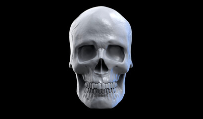 3d illustration of a human skull with the dark background. Skull front view.