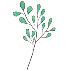 plant-flower-bloom-blossom-spring-summer-leaf