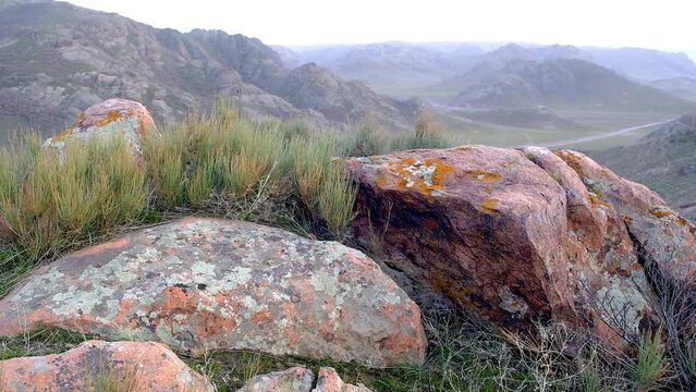 Cobblestones and bushes of ephedra in the desert mountains.