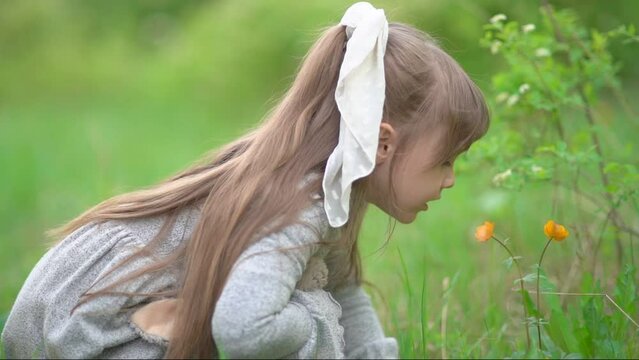 Little girl sniffs orange flower in the park. Background summer green flowering on the lawn. Child playing on the spring nature outdoors.A rare flower of Trollius asiaticus listed in the red book