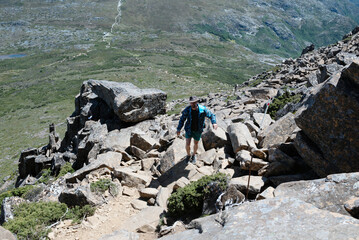 The traveler went up the mountain. This is the beauty of the mountains. This is mountain climbing. Australia. Tasmania. This is an encounter with wildlife.
