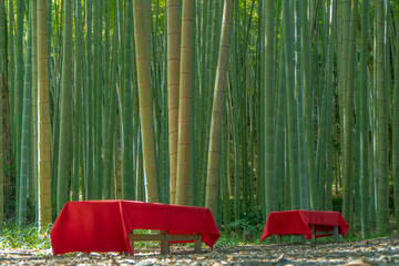 竹林と赤いベンチ