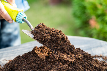 Gardener woman holding peat moss organic matter improve soil for agriculture organic plant growing,...