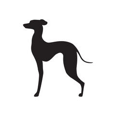 Fototapeta premium dog illustration on white