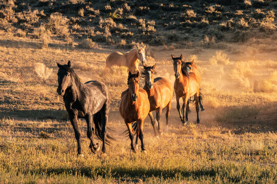 Salt Flats, Utah and Arizona state limit
