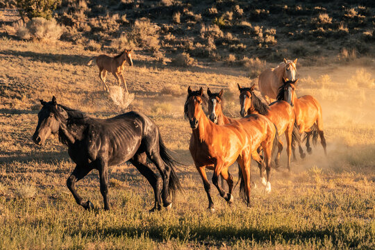 Salt Flats, Utah and Arizona state limit