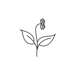 plant flower logo line natural vector illustration