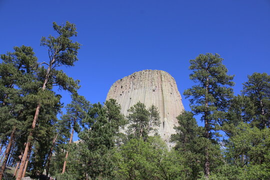 Devils Tower National Monument Bears lodge in the black hills Wyoming 