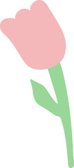 pink tulip