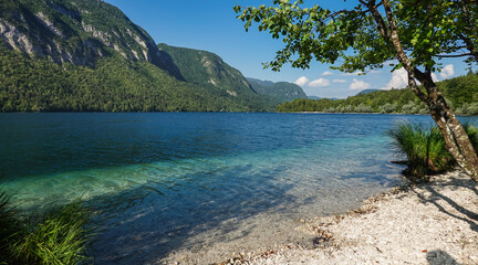 Fototapeta na wymiar Bohinji See im Triglav Nationalpark in Slowenien