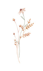 Beautiful floral stock illustration with hand drawn watercolor wild field flowers. Clip art.