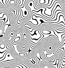 Fototapeta na wymiar abstract zebra texture black and white curves background.