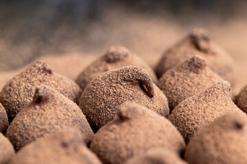 a large number of sweet candies in chocolate powder