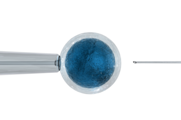 Intracytoplasmic sperm injection on white background