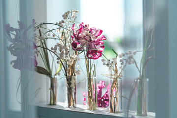 delicate composition of dried withered flowers on the windowsill near the window