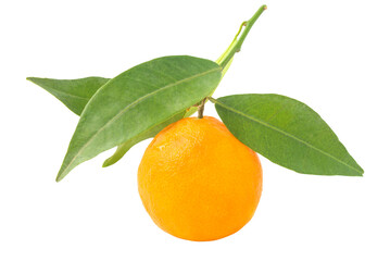 Orange mandarin with green leaf in PNG isolated on transparent background