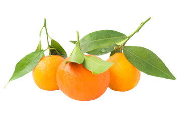 Group of orange mandarins with green leaves in PNG isolated on transparent background