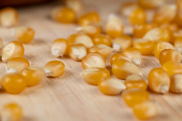 dry corn for cooking and popcorn